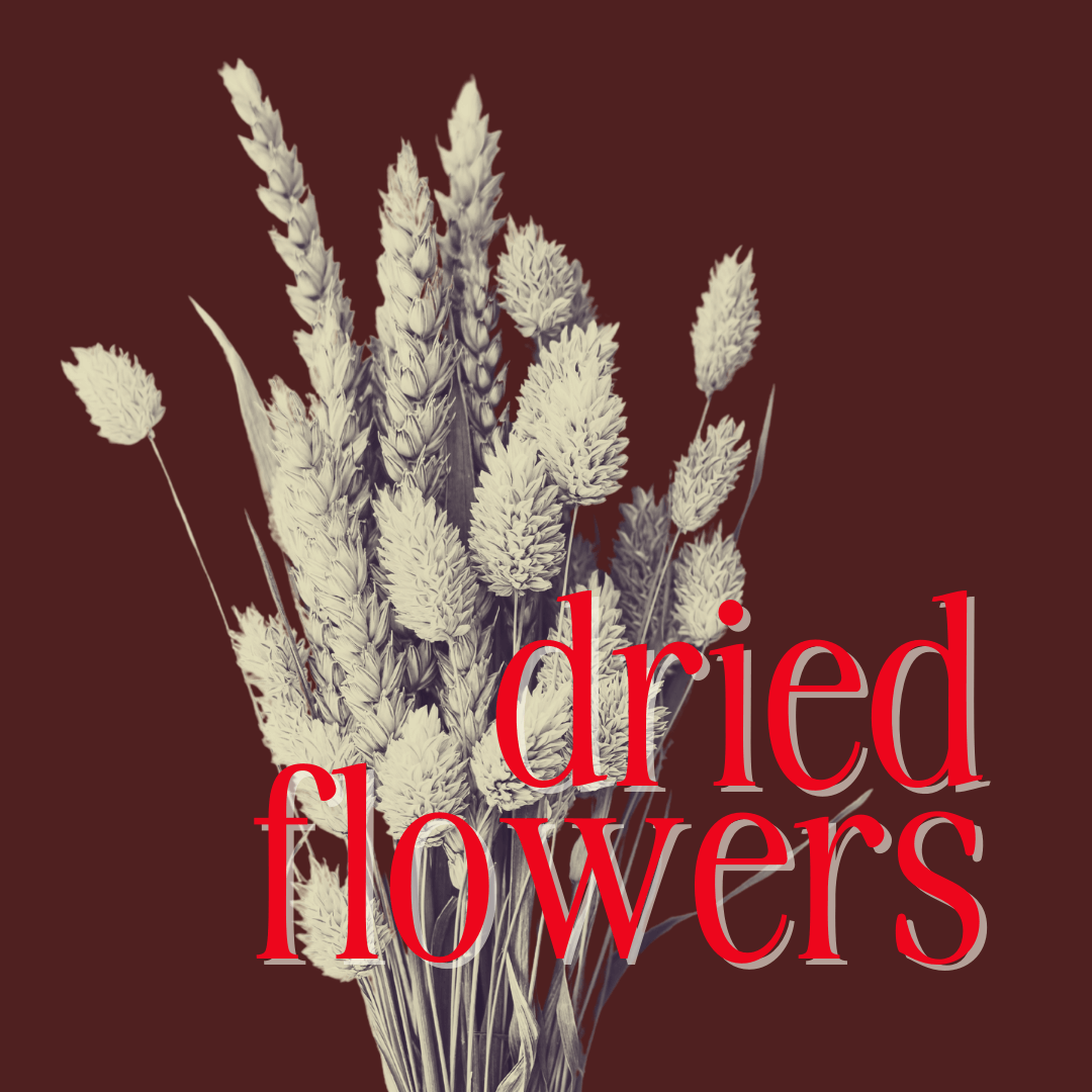 Dried Flower Bouquets
