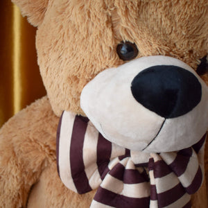 Oversized Teddy Bear